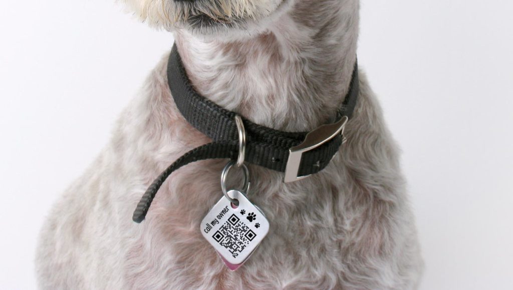 QR Code idea on a pet ID tag