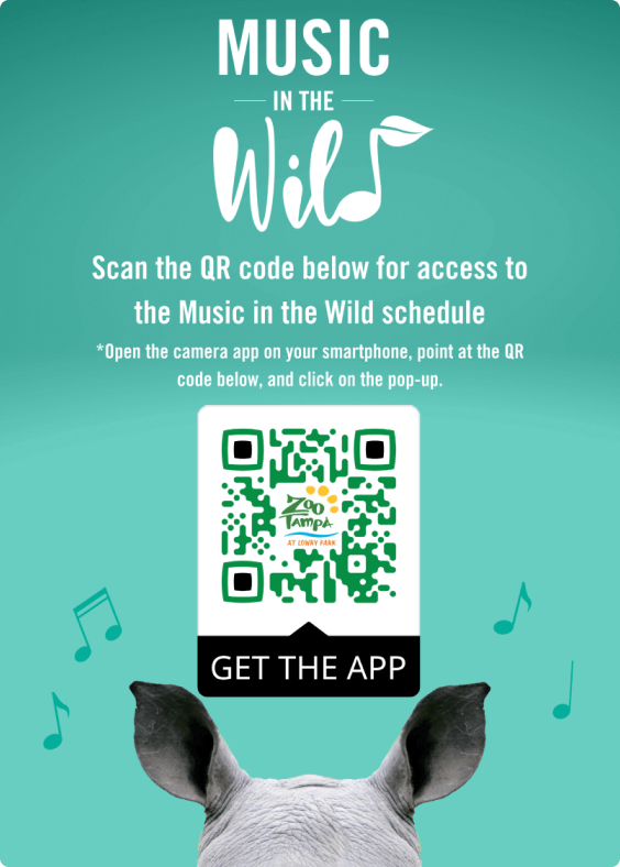 An example use-case designed for the ZooTampa app.